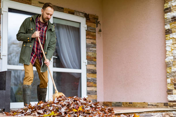 Best Basement Cleanout Services  in Pinehurst, MA